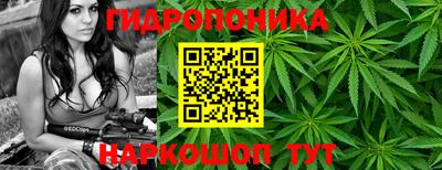 дживик Кингисепп