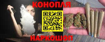 дживик Кингисепп