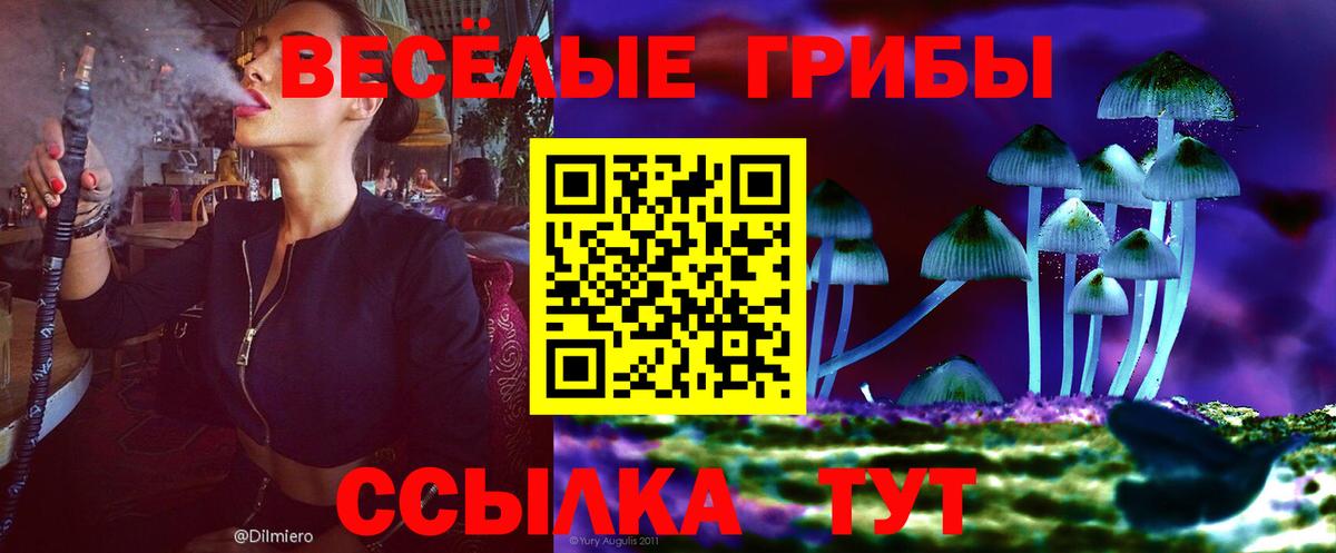 Красногорск  Галлюциногенные грибы MAGIC MUSHROOMS  Вход с VPN  Псилоцибиновые грибы GOLDEN TEACHER 